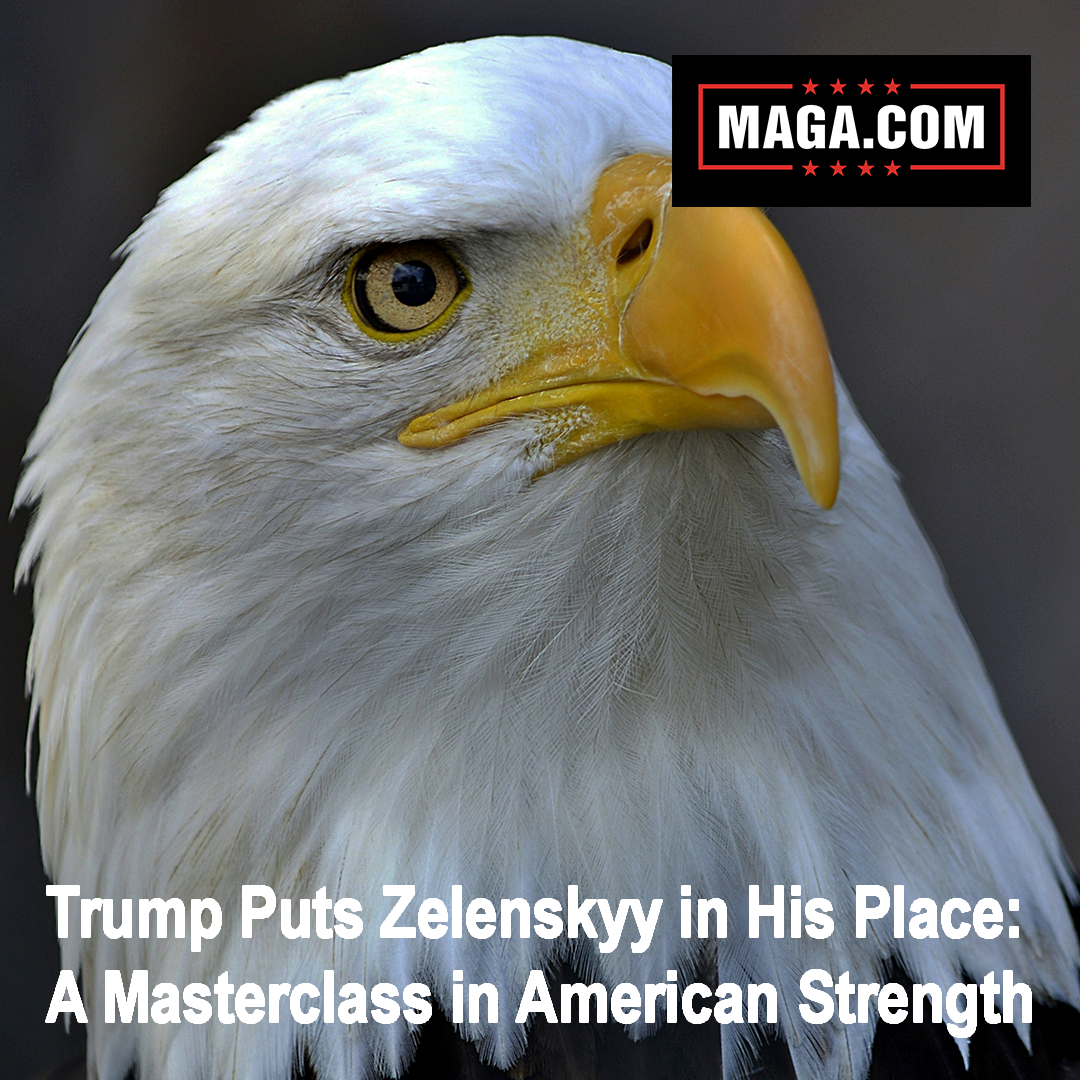 Trump Puts Zelenskyy in His Place: A Masterclass in American Strength