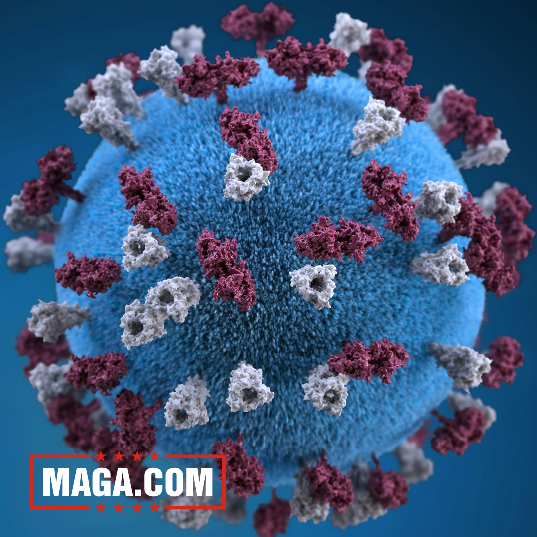 Highly contagious virus confirmed at major US airports