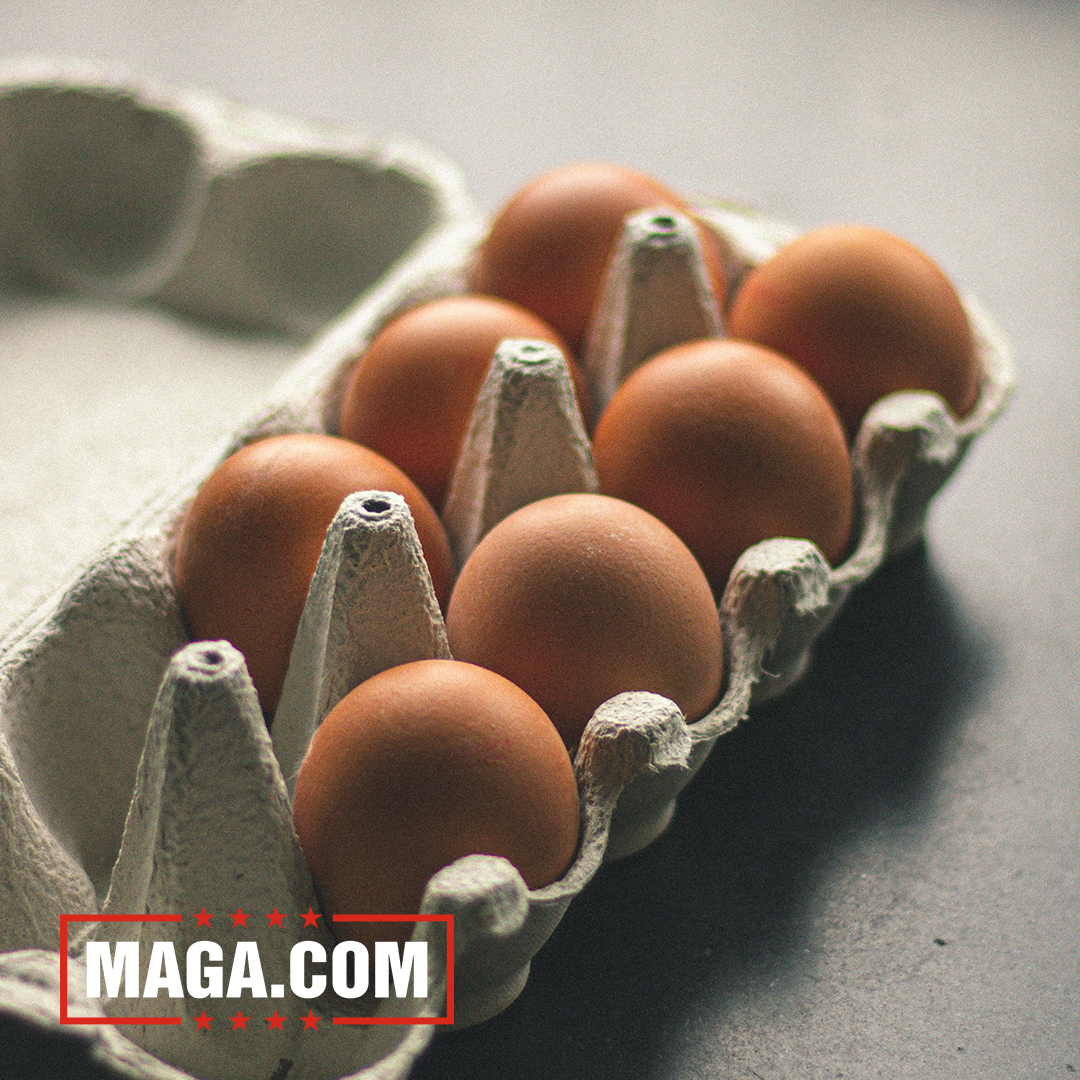 Video: Egg prices plummet under Trump admin after skyrocketing under Biden
