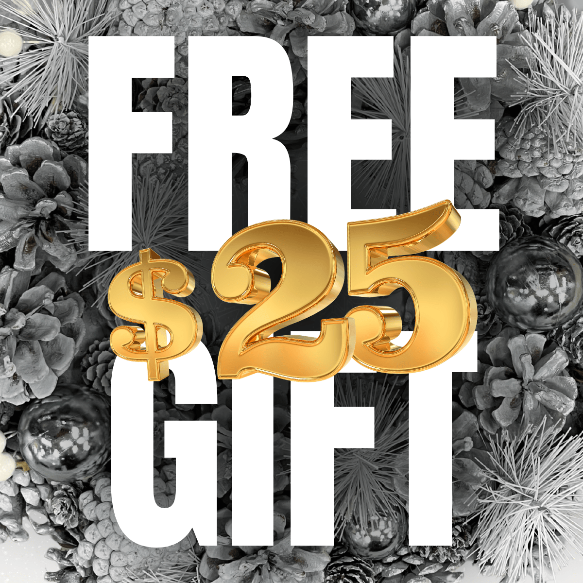FREE $25 Mystery Gift 2 maga trump