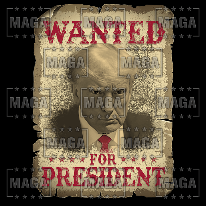 Wanted For President Ladies Tee maga trump