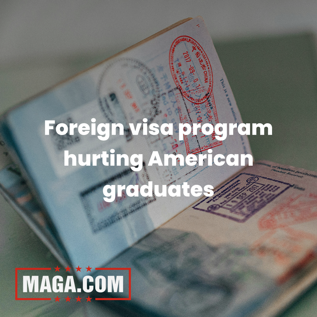 Foreign visa program hurting American graduates, expert says