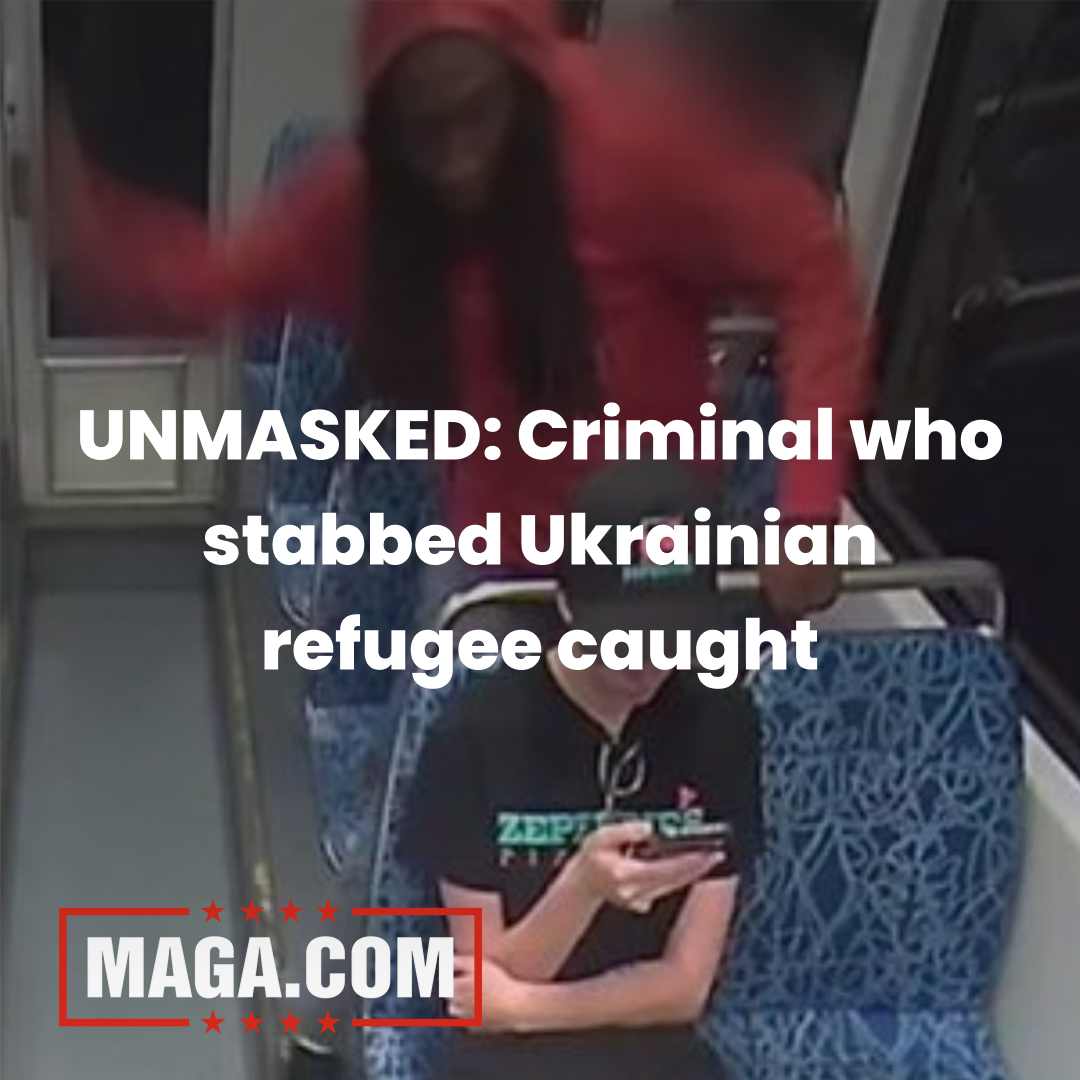 Video/Pics: Ukrainian refugee fatally stabbed by homeless criminal on train