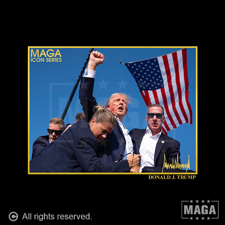 Icon Series - Trump Fight