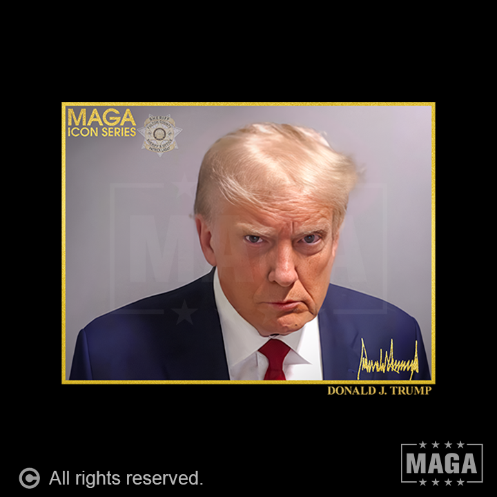 Icon Series - Trump Mug Shot