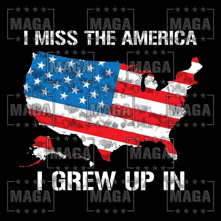 America I Grew Up In maga trump