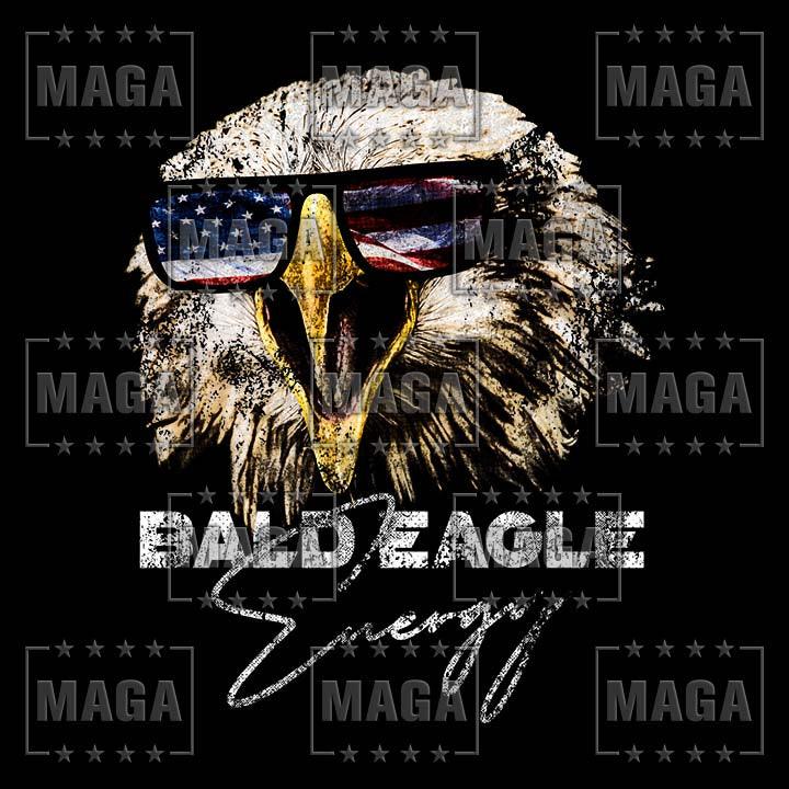 Bald Eagle Energy Ladies Hoodie maga trump