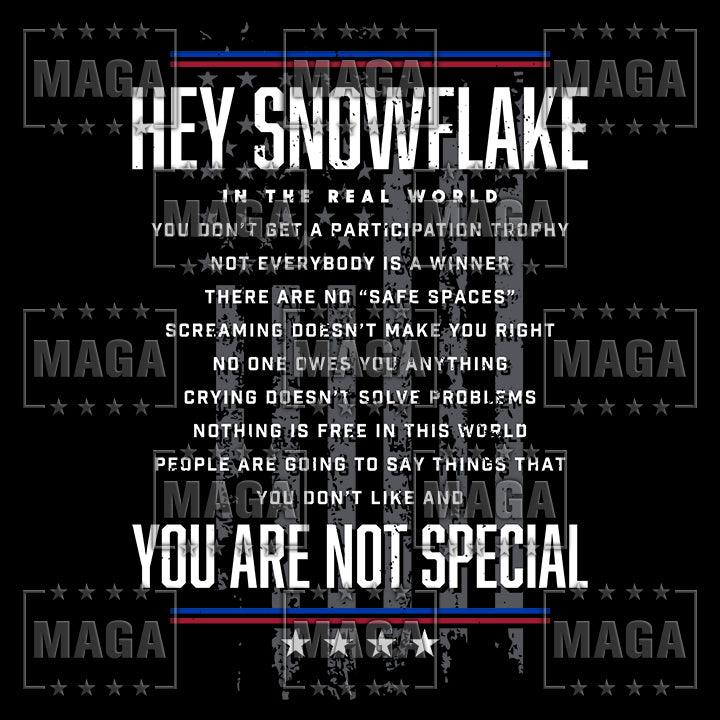 Hey Snowflake maga trump