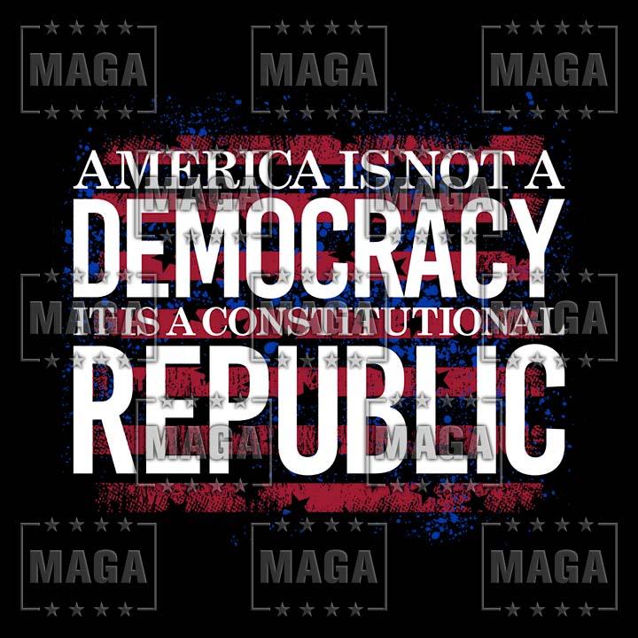 It's a Constitutional Republic Not a Democracy Ladies Tee maga trump